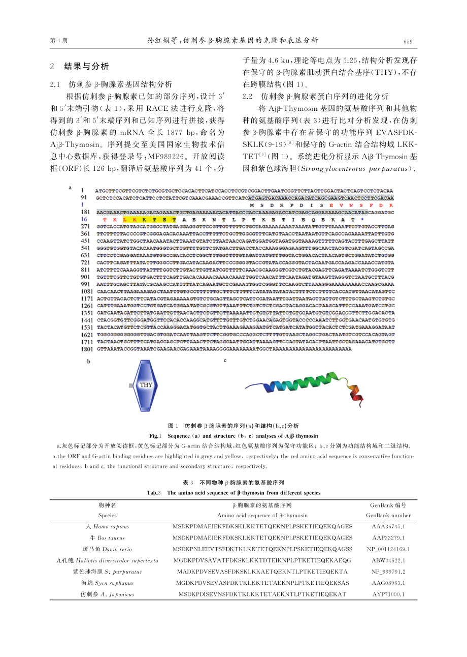 仿刺参β-胸腺素基因的克隆和表达分析.pdf_第3页