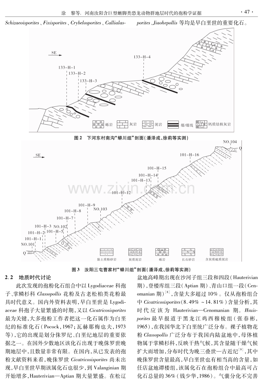 河南汝阳含巨型蜥脚类恐龙动物群地层时代的孢粉学证据.pdf_第3页