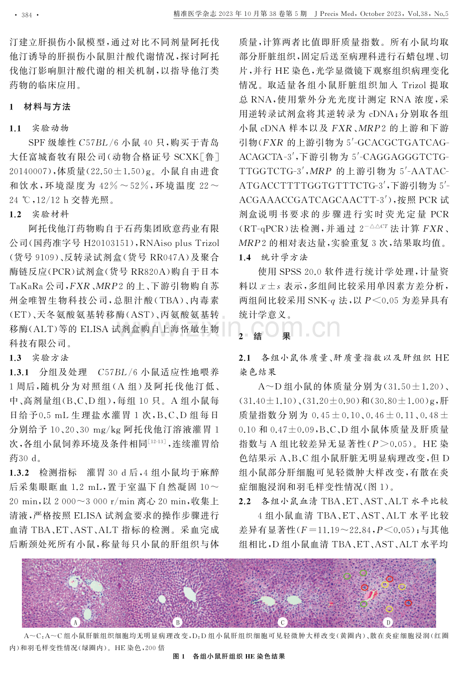 高剂量阿托伐他汀对肝损伤小鼠胆汁酸代谢的影响及其机制.pdf_第2页