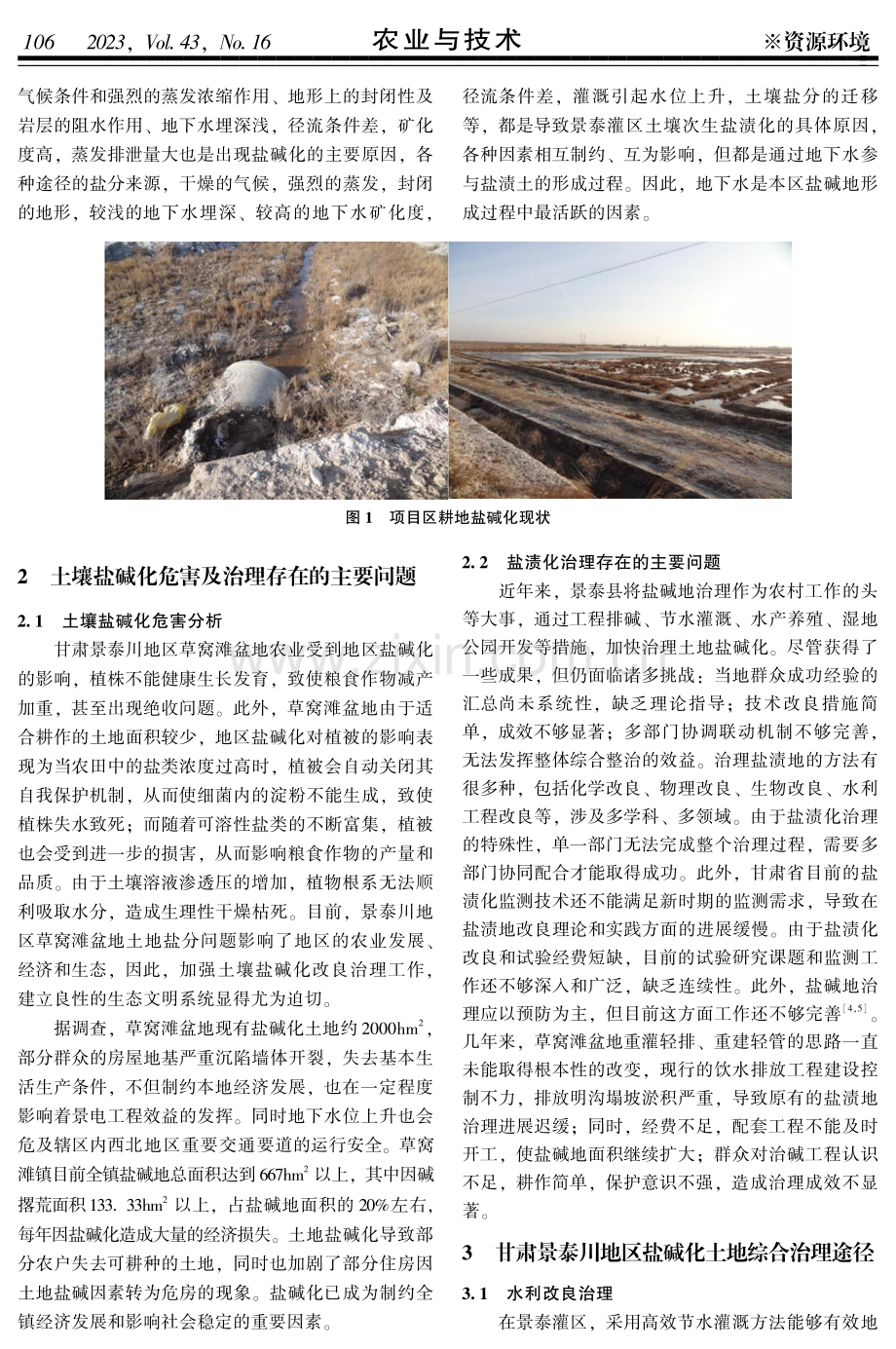 甘肃景泰川地区盐碱化土地综合治理途径分析.pdf_第2页