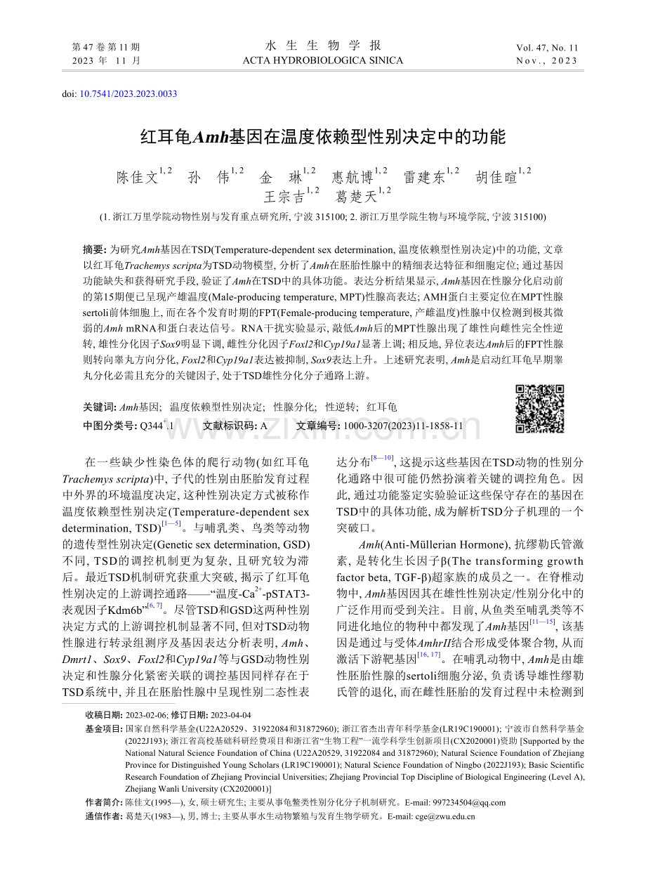 红耳龟Amh基因在温度依赖型性别决定中的功能.pdf_第1页