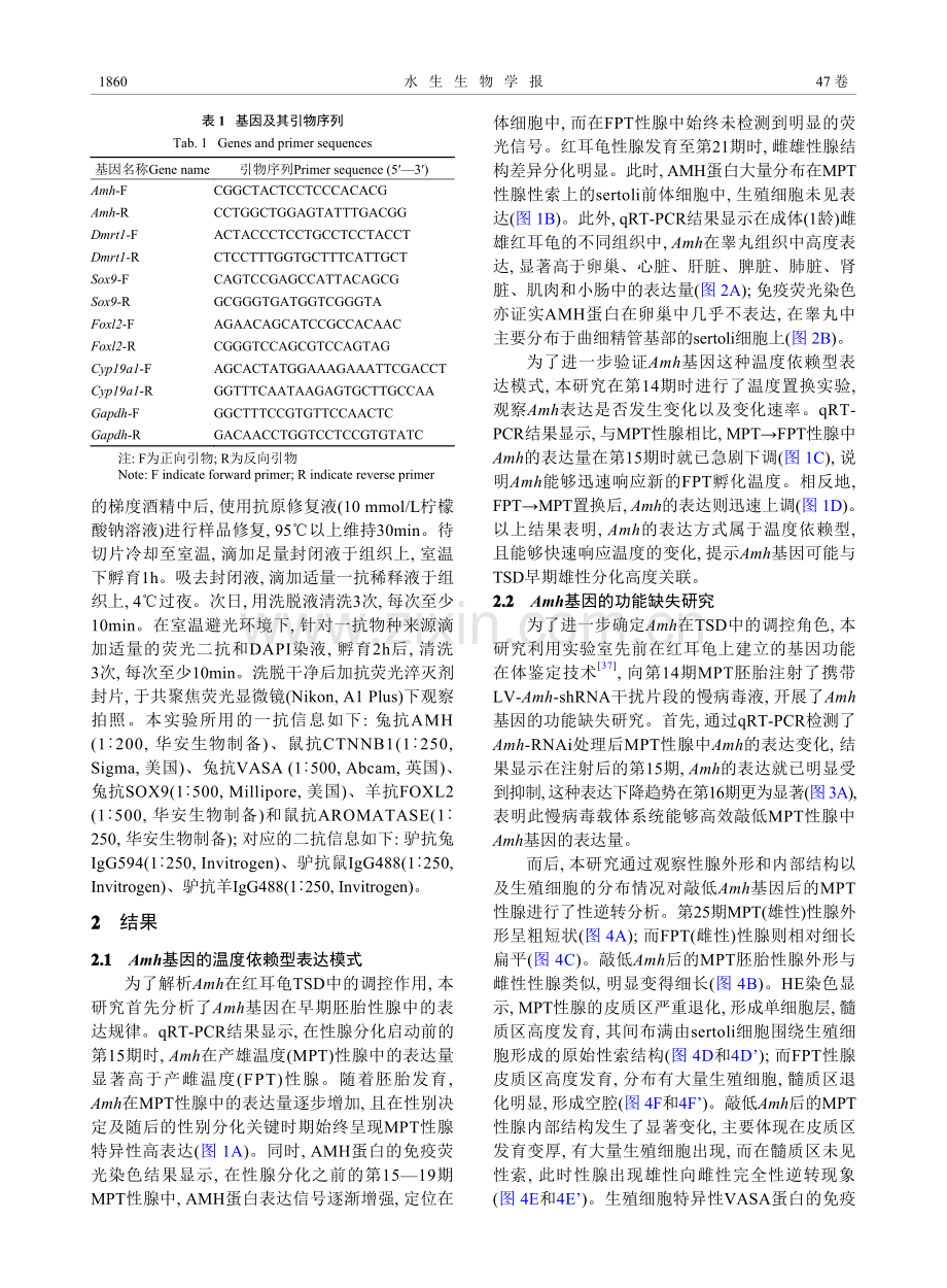 红耳龟Amh基因在温度依赖型性别决定中的功能.pdf_第3页