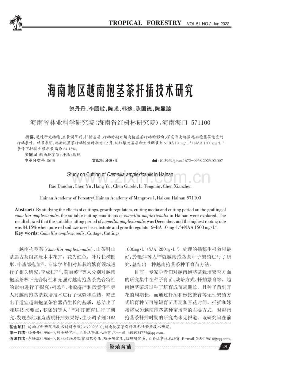 海南地区越南抱茎茶扦插技术研究.pdf_第1页