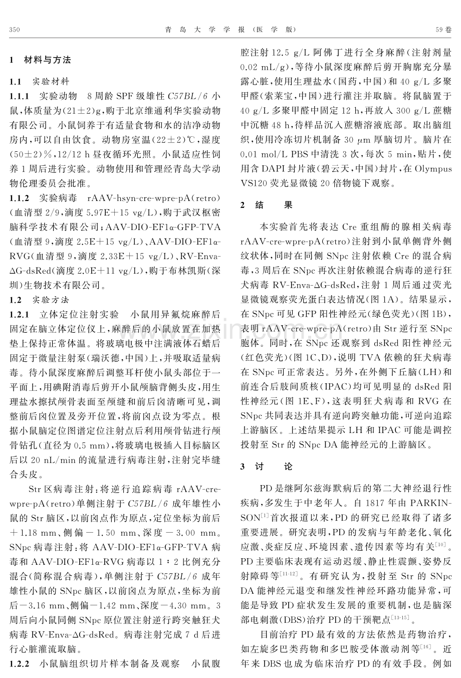 黑质致密部-纹状体多巴胺能通路的上游脑区追踪.pdf_第2页