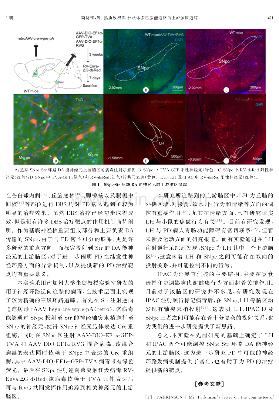 黑质致密部-纹状体多巴胺能通路的上游脑区追踪.pdf_第3页