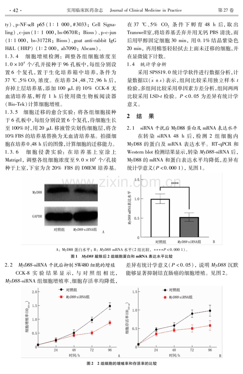 骨髓分化因子88通过核因子-κB_活化蛋白-1信号通路调控结直肠癌细胞增殖、迁移和侵袭的机制研究.pdf_第3页