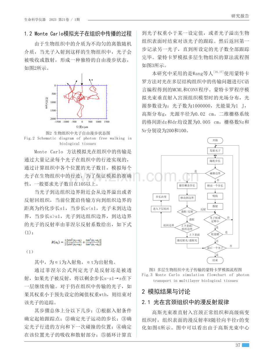 光在宫颈组织中传输特性的蒙特卡罗模拟.pdf_第3页