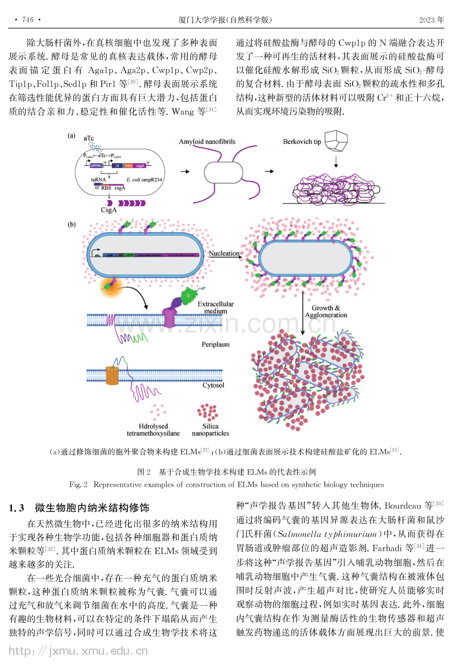 工程活体材料的环境应用.pdf_第3页