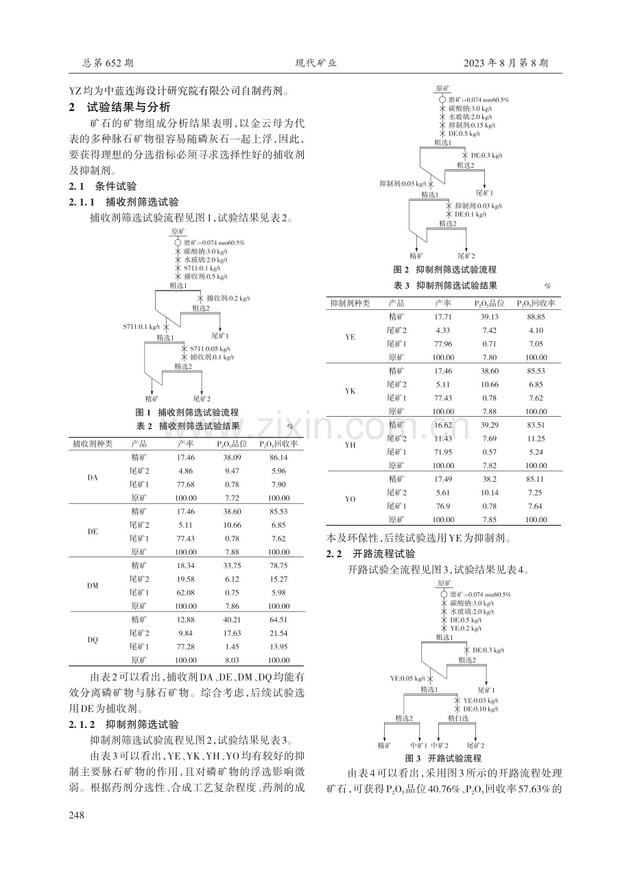 国外某高镁低品位磷矿石浮选试验研究.pdf_第2页