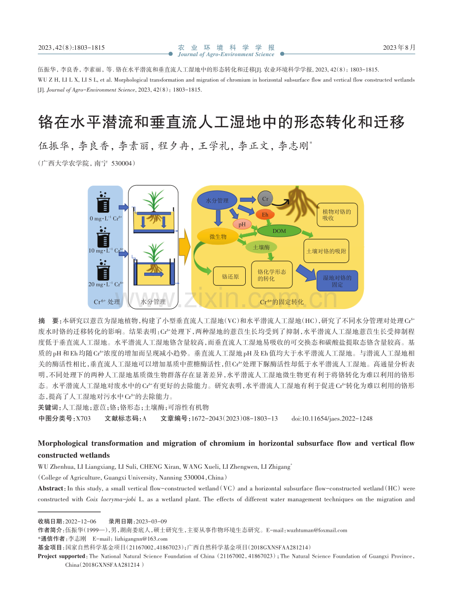 铬在水平潜流和垂直流人工湿地中的形态转化和迁移.pdf_第1页