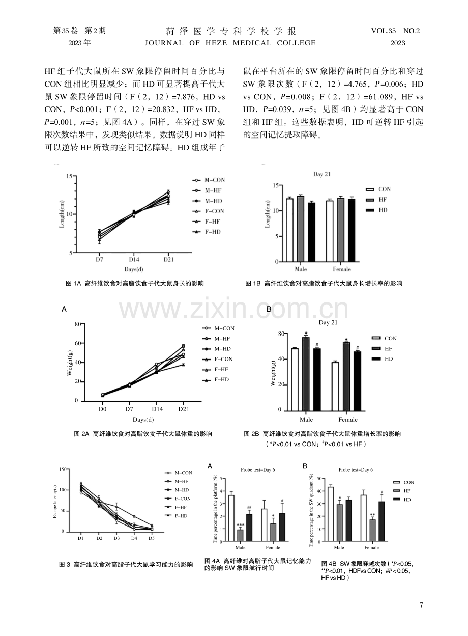 高纤维饮食对高脂子代大鼠学习和记忆能力的影响.pdf_第3页