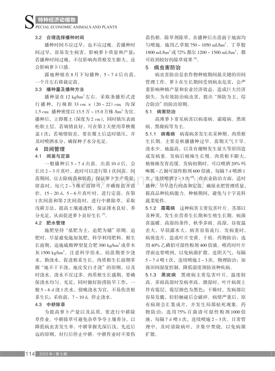 高滩萝卜优质高产栽培技术.pdf_第2页