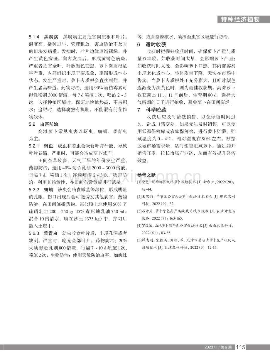 高滩萝卜优质高产栽培技术.pdf_第3页