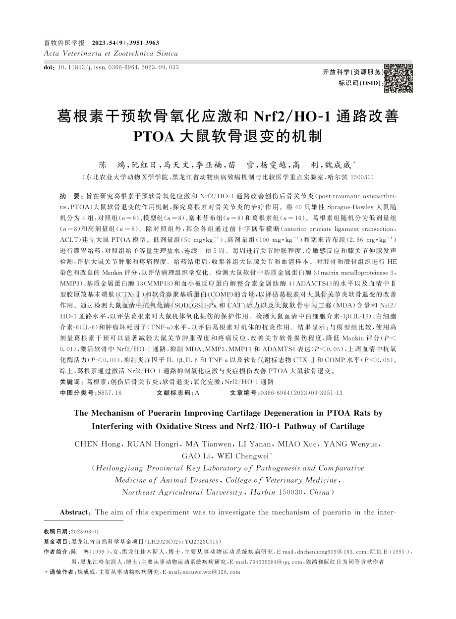 葛根素干预软骨氧化应激和Nrf2_HO-1通路改善PTOA大鼠软骨退变的机制.pdf_第1页