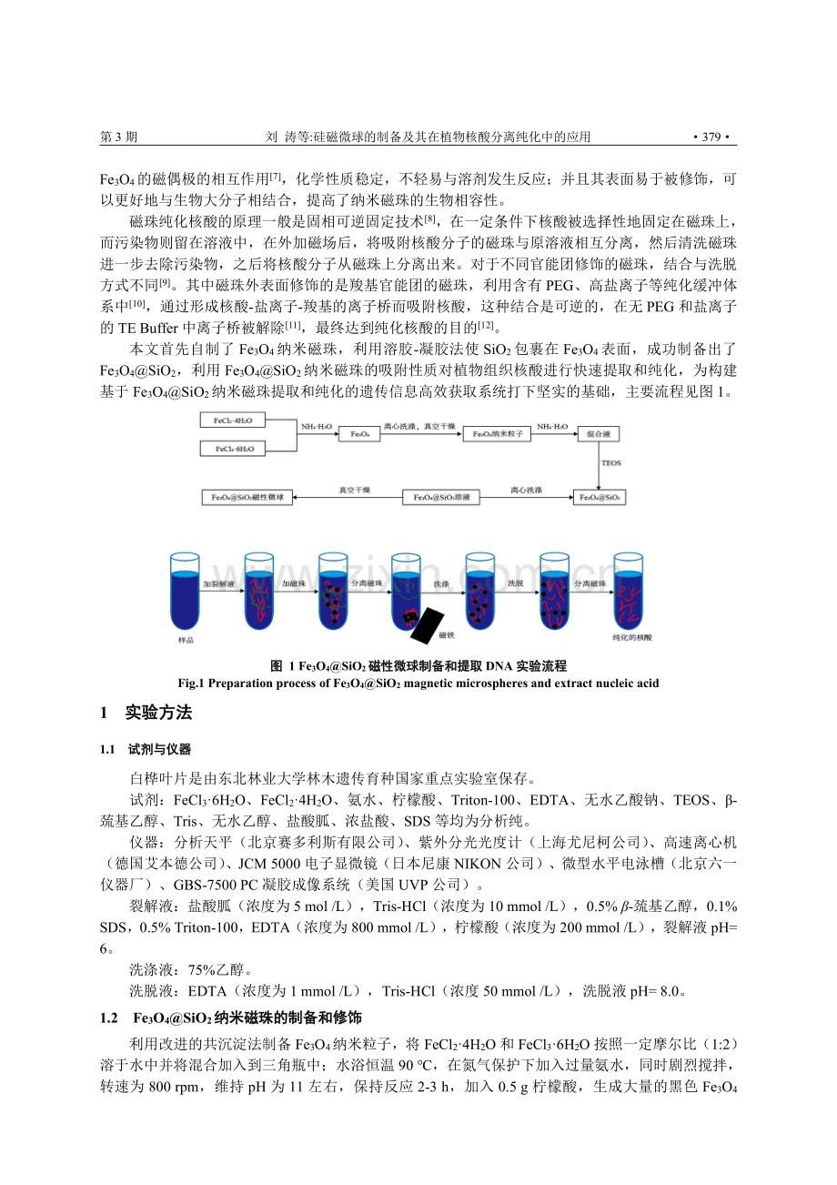 硅磁微球的制备及其在植物核酸分离纯化中的应用.pdf_第2页