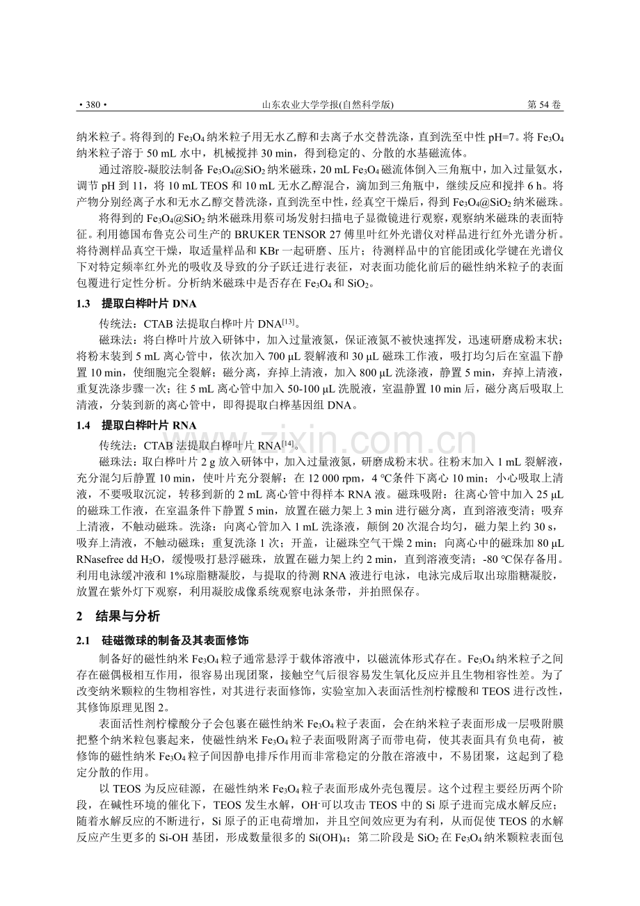 硅磁微球的制备及其在植物核酸分离纯化中的应用.pdf_第3页