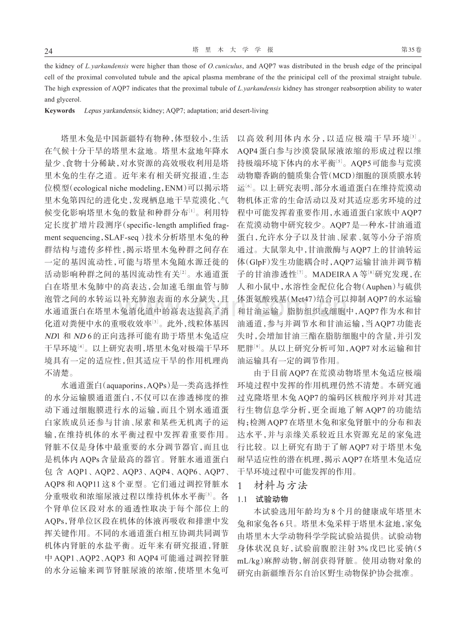 干旱沙漠生活的塔里木兔肾脏中水通道蛋白7的高表达.pdf_第2页