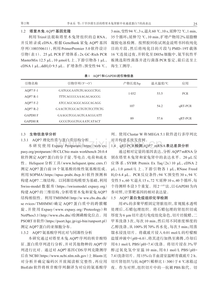 干旱沙漠生活的塔里木兔肾脏中水通道蛋白7的高表达.pdf_第3页