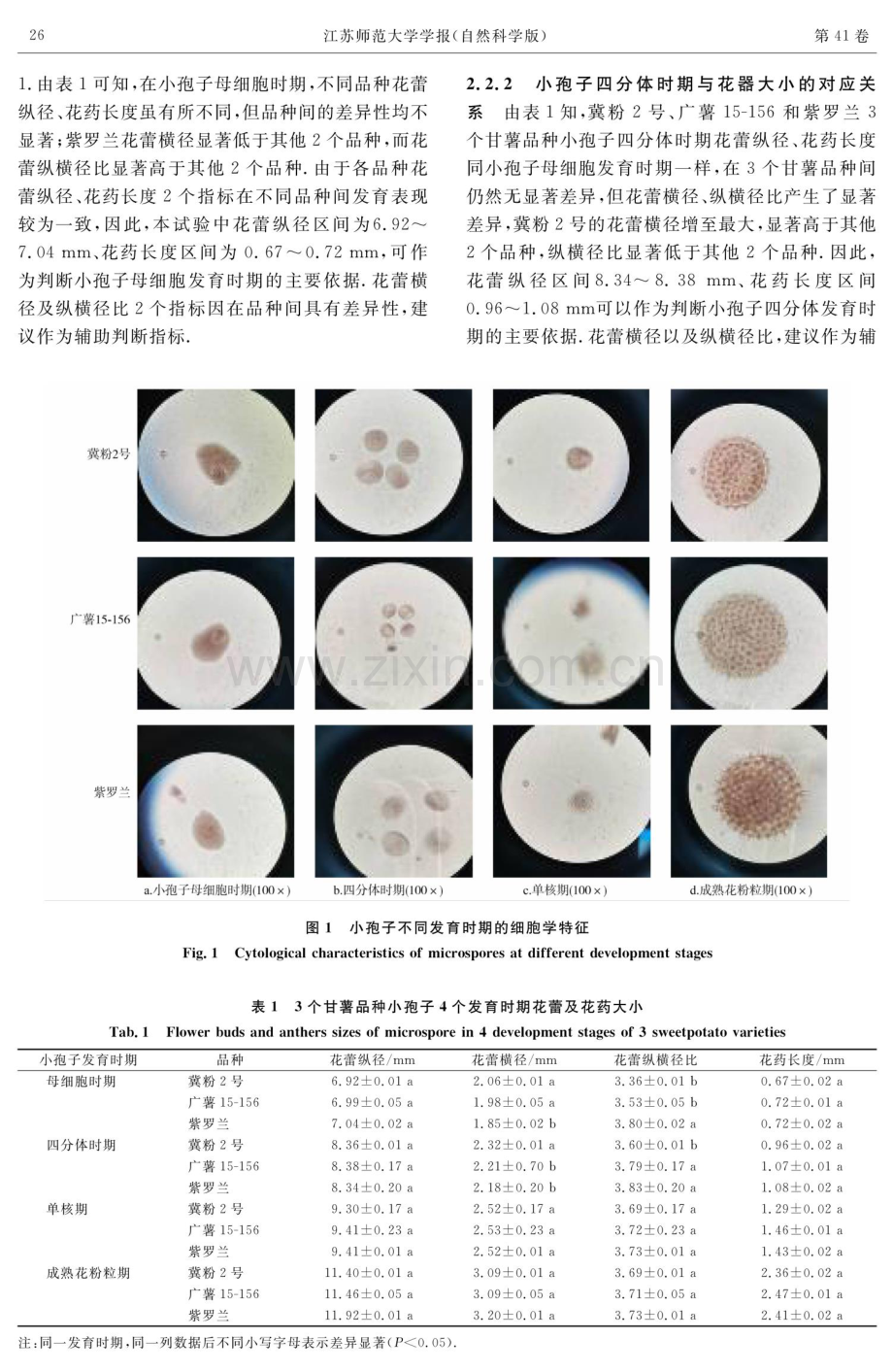 甘薯小孢子发育时期与花器外观形态的相关性.pdf_第3页