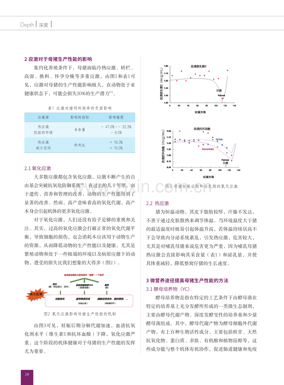 缓解母猪免疫应激的微营养调控途径.pdf_第2页