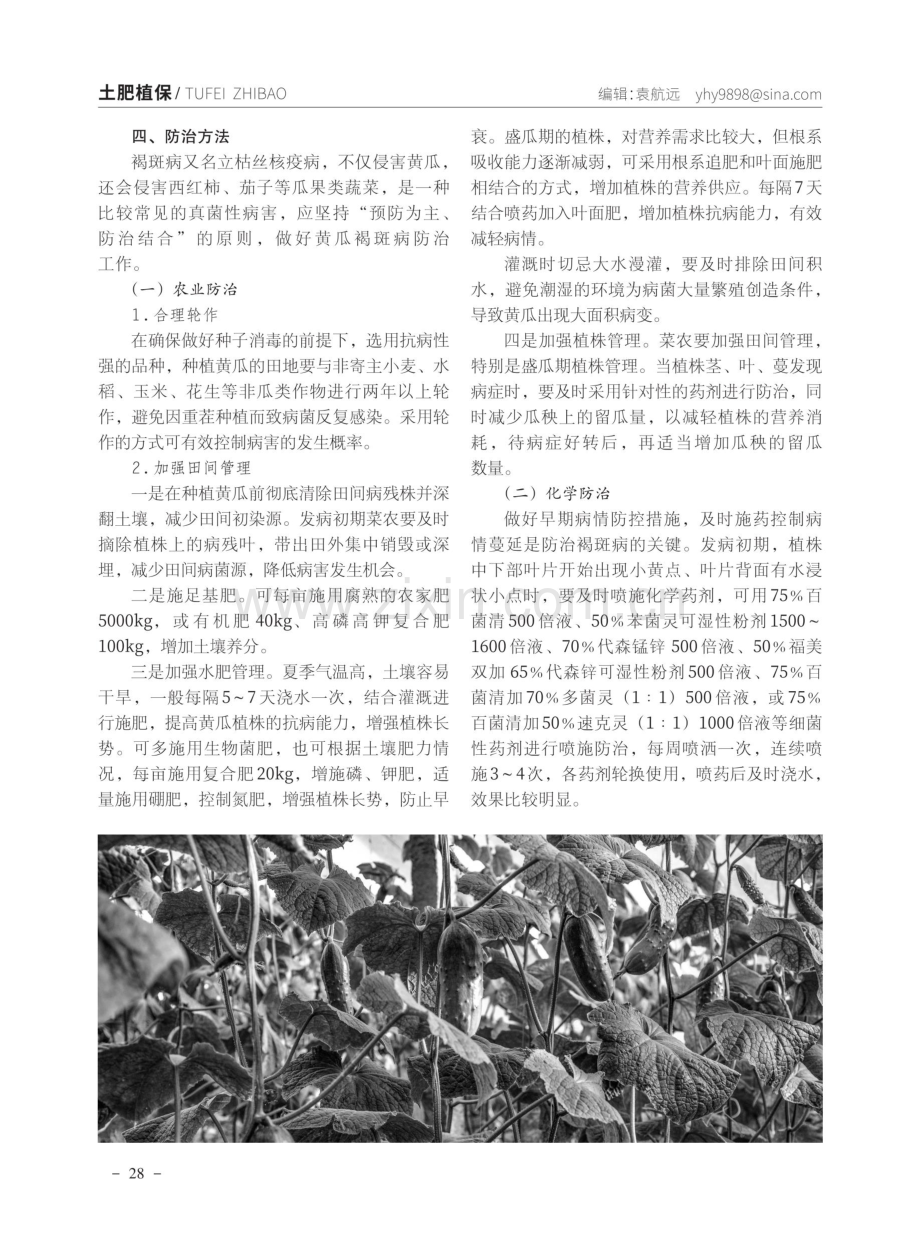 黄瓜褐斑病防治技术.pdf_第2页