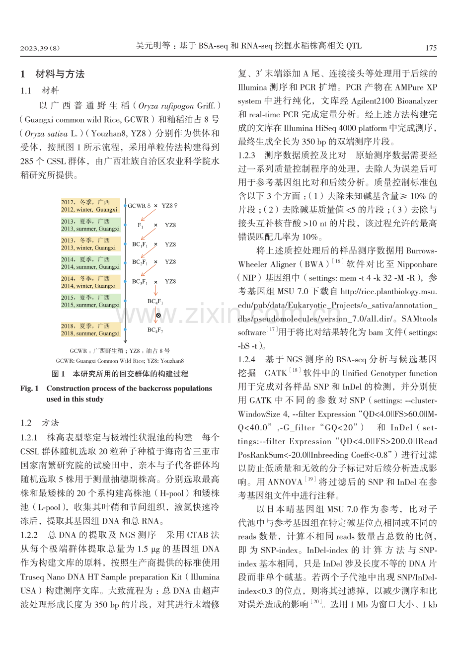 基于BSA-seq和RNA-seq挖掘水稻株高相关QTL.pdf_第3页