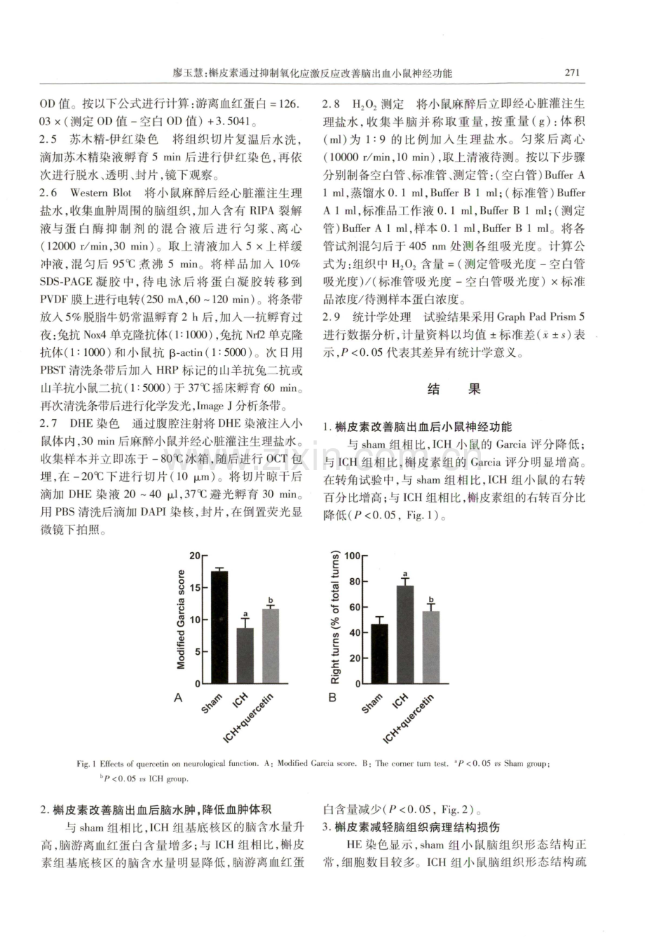 槲皮素通过抑制氧化应激反应改善脑出血小鼠神经功能.pdf_第3页