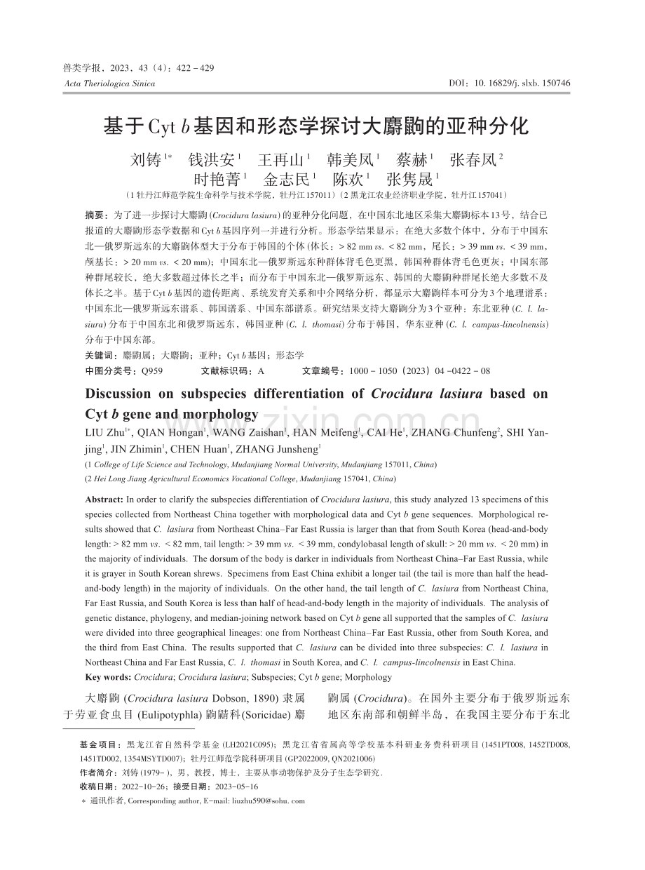 基于Cyt b基因和形态学探讨大麝鼩的亚种分化.pdf_第1页