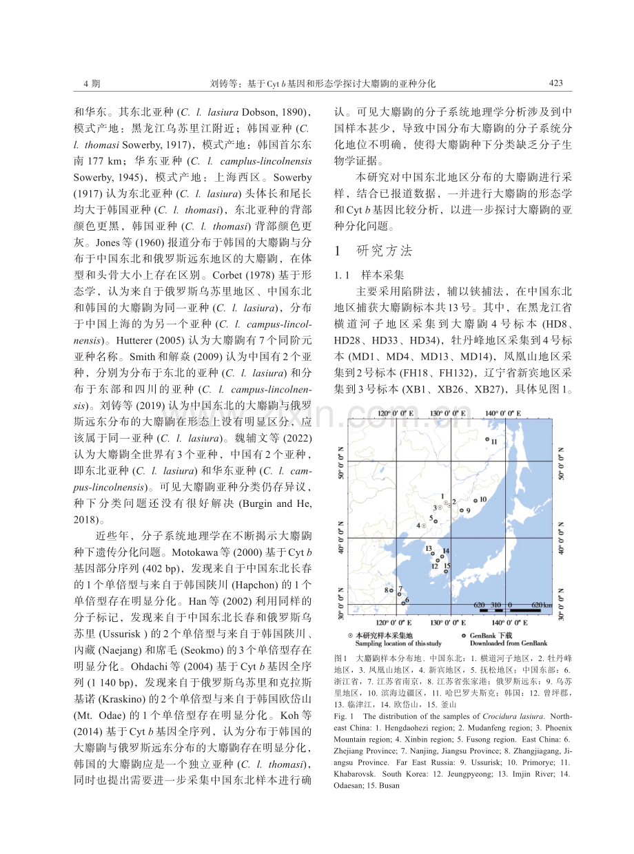 基于Cyt b基因和形态学探讨大麝鼩的亚种分化.pdf_第2页