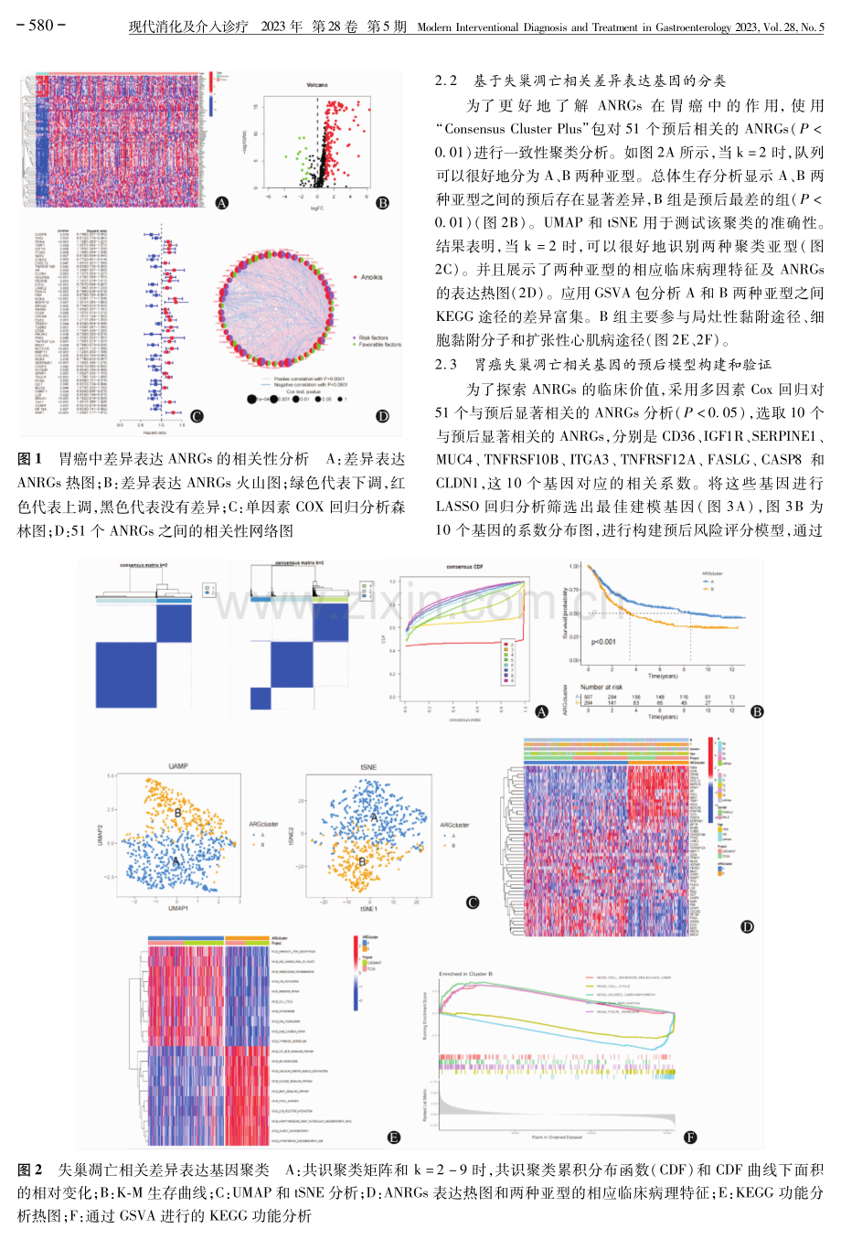 基于生物信息学筛选胃癌失巢凋亡相关基因并构建预后模型.pdf_第3页