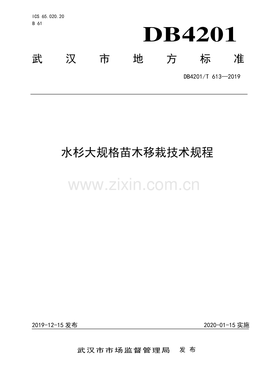 DB4201∕T 613-2019 水杉大规格苗木移栽技术规程(武汉市).pdf_第1页