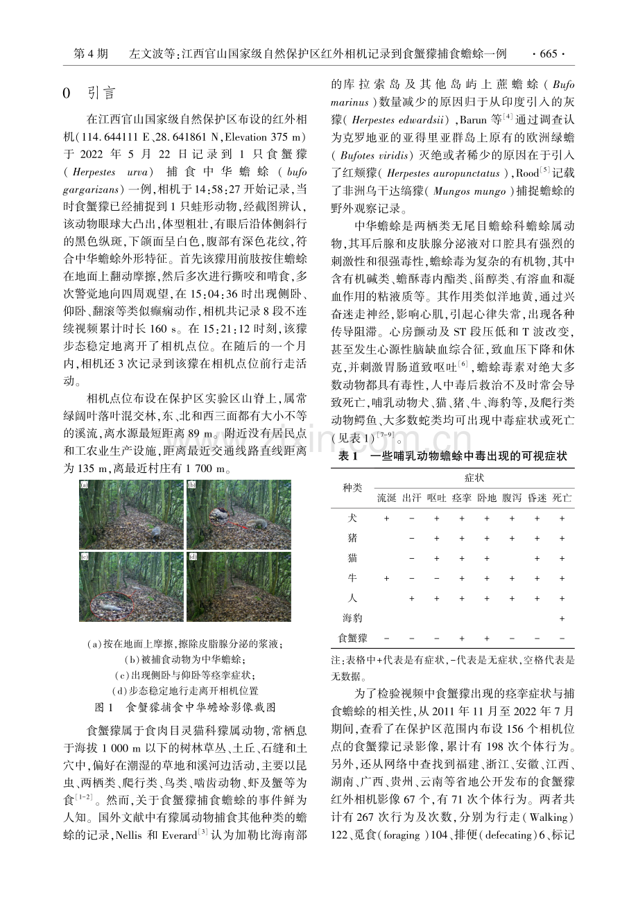 江西官山国家级自然保护区红外相机记录到食蟹獴捕食蟾蜍一例.pdf_第2页