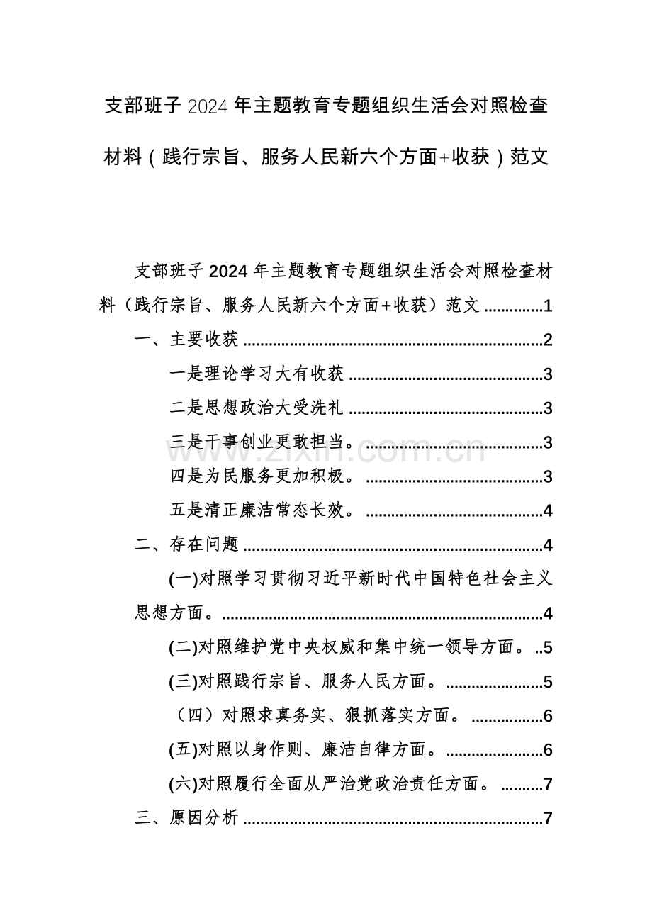 支部班子2024年主题教育专题组织生活会对照检查材料（践行宗旨、服务人民新六个方面+收获）范文.docx_第1页