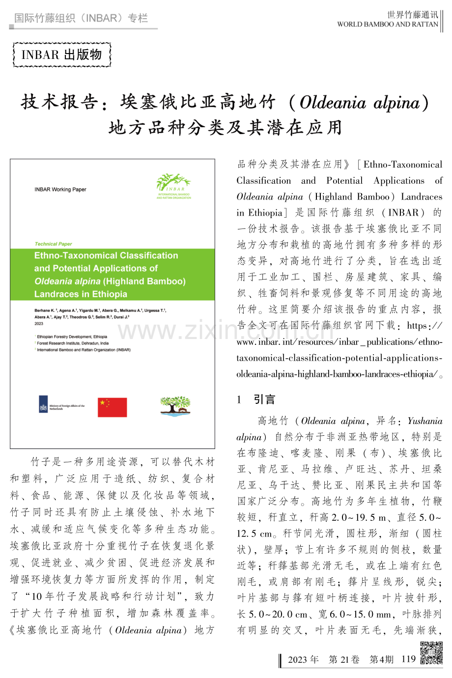 技术报告：埃塞俄比亚高地竹（Oldeania alpina）地方品种分类及其潜在应用.pdf_第1页