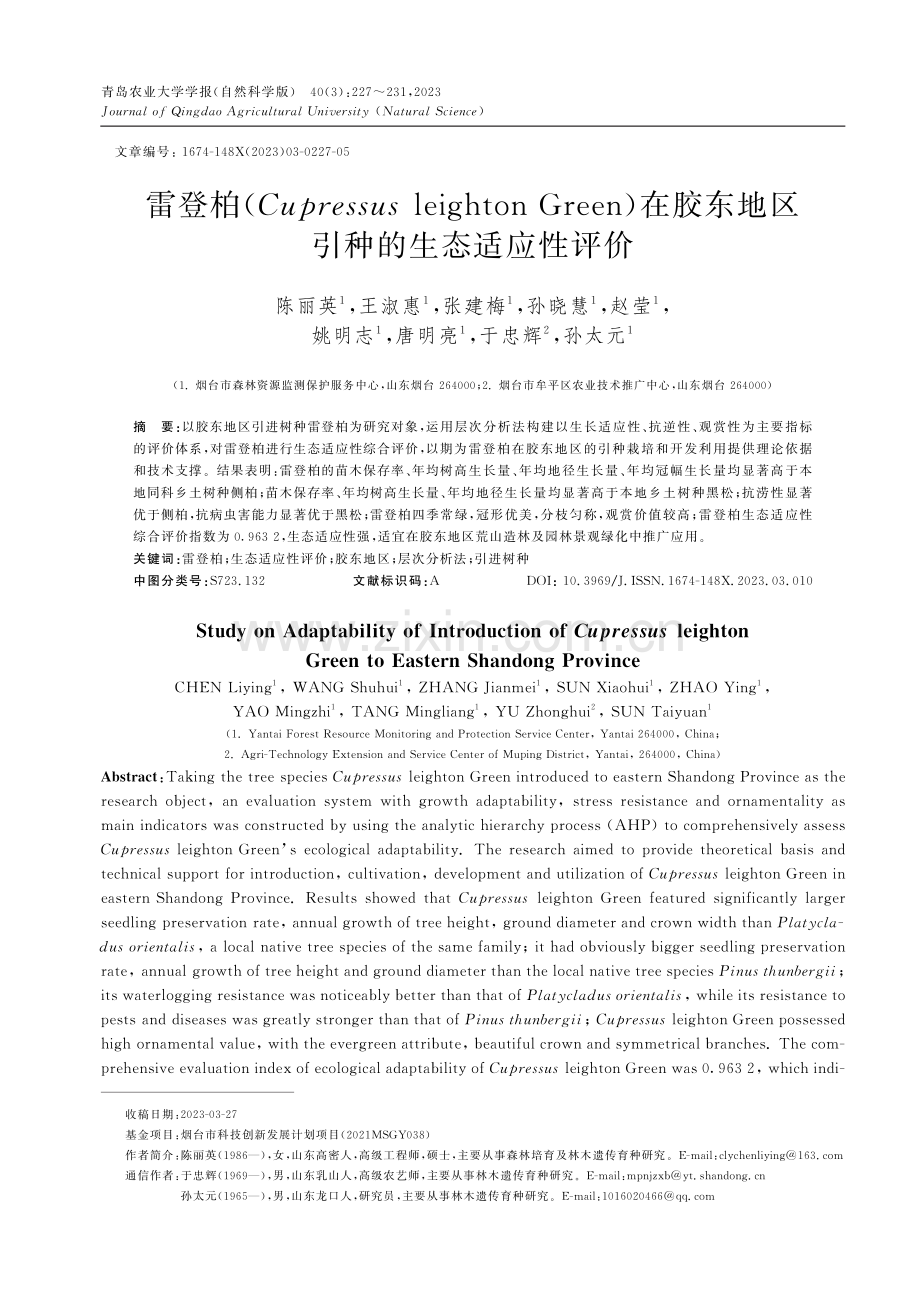 雷登柏（Cupressus leighton Green）在胶东地区引种的生态适应性评价.pdf_第1页