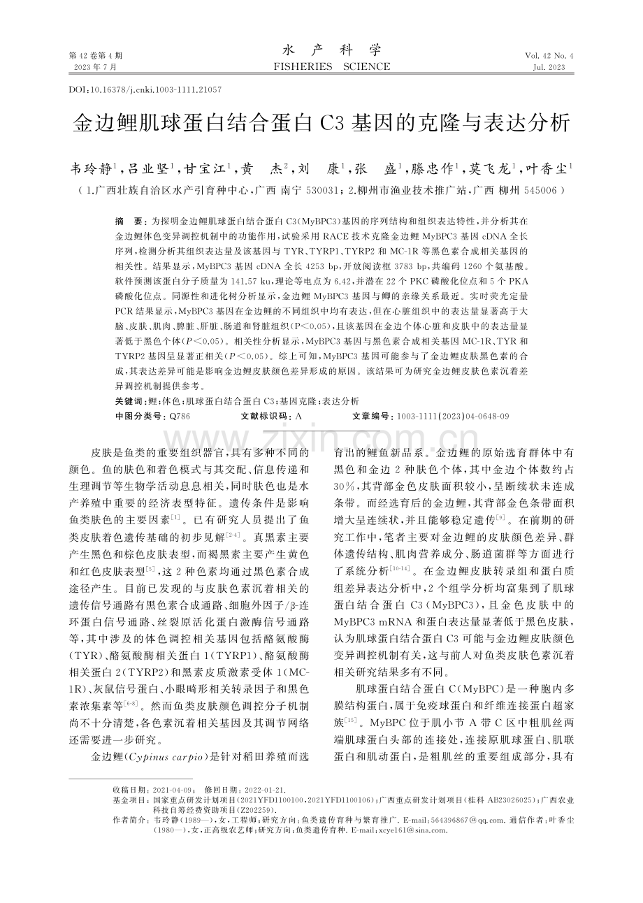 金边鲤肌球蛋白结合蛋白C3基因的克隆与表达分析.pdf_第1页