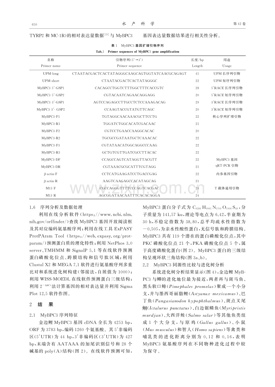 金边鲤肌球蛋白结合蛋白C3基因的克隆与表达分析.pdf_第3页