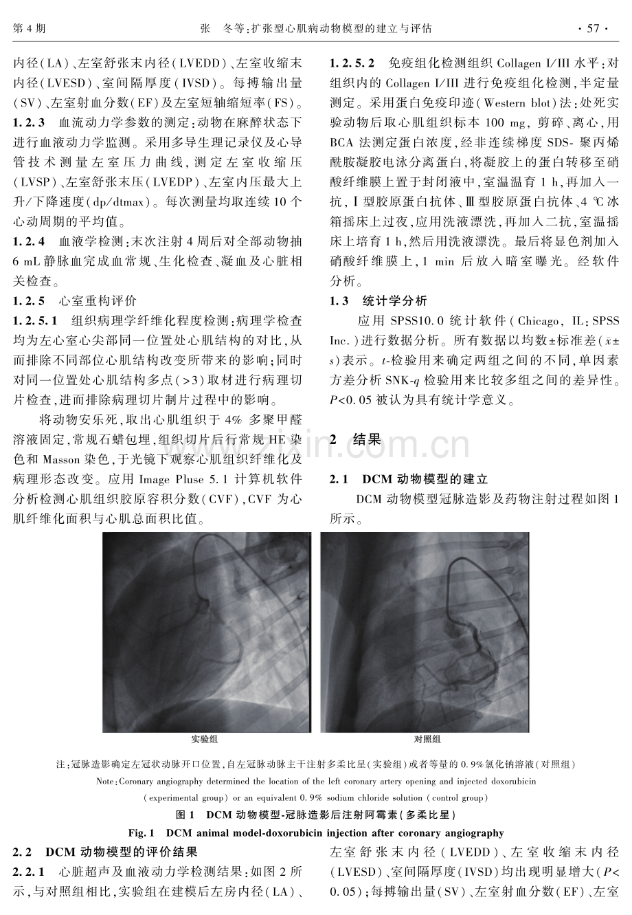 扩张型心肌病动物模型的建立与评估.pdf_第3页