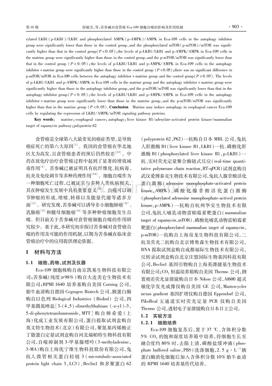 苦参碱对食管癌Eca-109细胞自噬的影响及作用机制.pdf_第3页