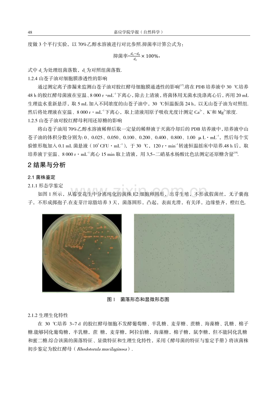 胶红酵母的分离鉴定与山苍子油的抑菌研究.pdf_第3页