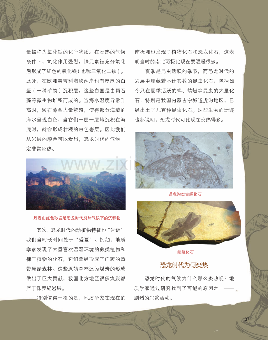 恐龙的夏天.pdf_第3页