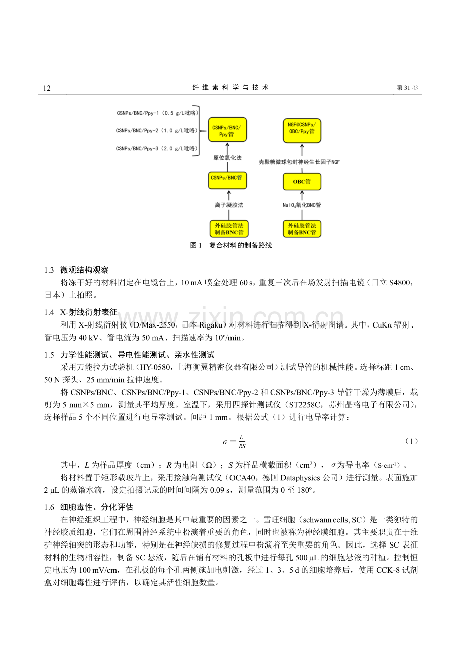 可电刺激的氧化细菌纤维素复合神经导管的制备及其表征.pdf_第3页