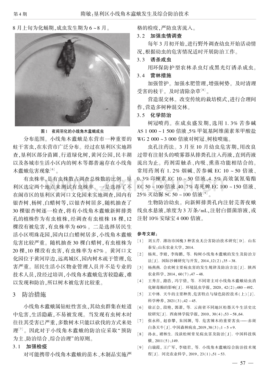 垦利区小线角木蠧蛾发生及综合防治技术.pdf_第2页