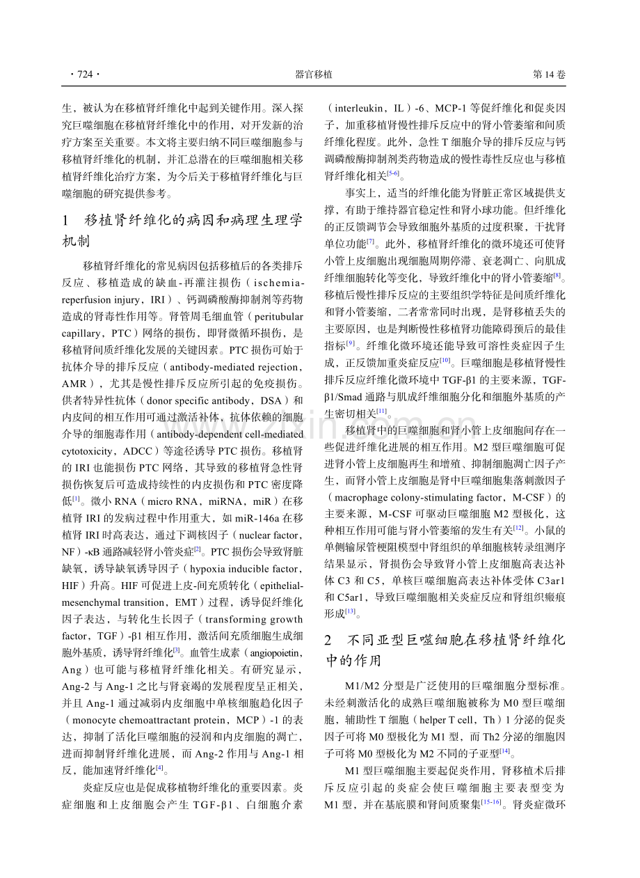 巨噬细胞在移植肾纤维化中的作用研究进展.pdf_第2页