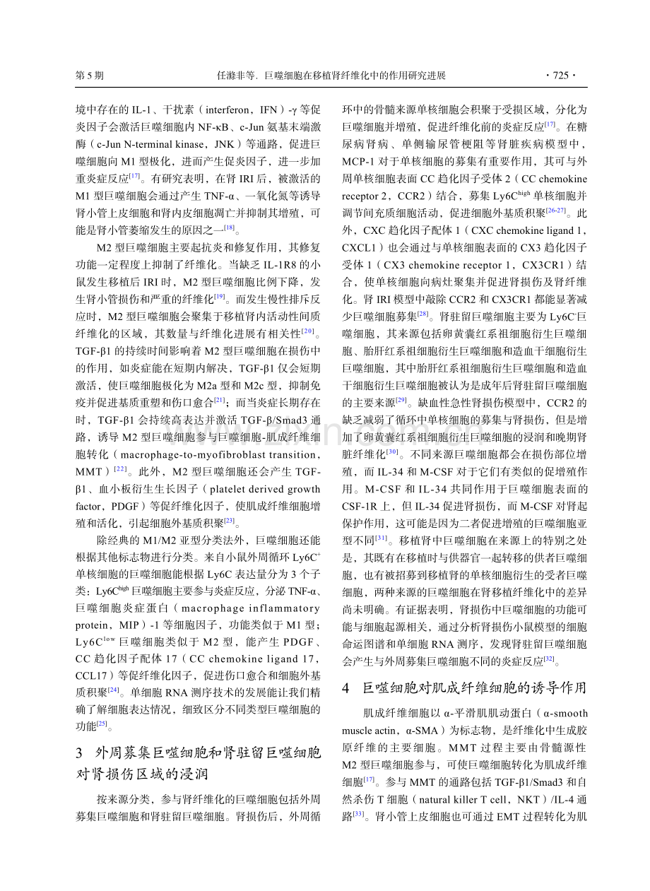 巨噬细胞在移植肾纤维化中的作用研究进展.pdf_第3页