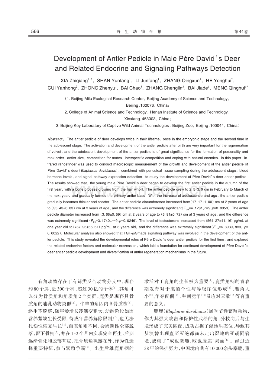 麋鹿角柄发育规律与相关内分泌及信号通路检测.pdf_第2页