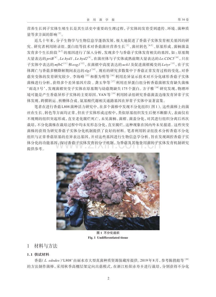 利用转录组分析香菇子实体不分化组织.pdf_第2页