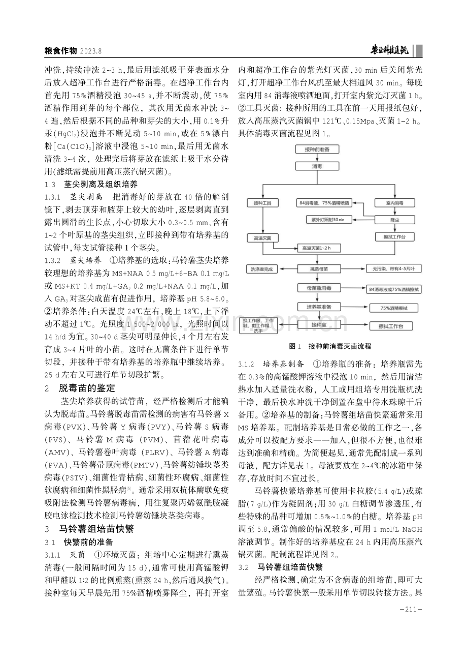 马铃薯脱毒与快繁技术.pdf_第2页