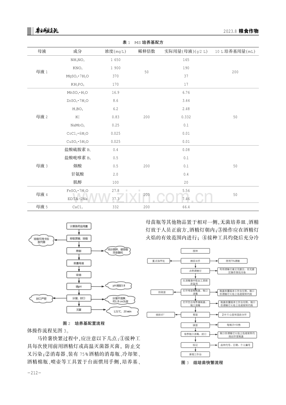 马铃薯脱毒与快繁技术.pdf_第3页