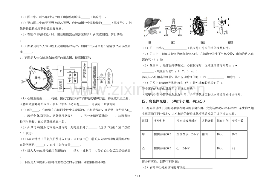 初中七年级生物上册期末测试卷(完整).doc_第3页